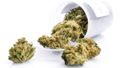 Cannabis Online Rezept