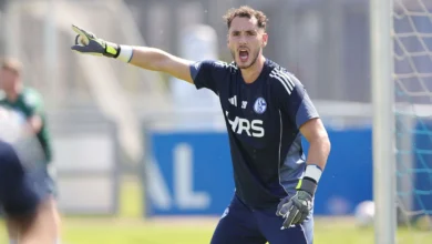 Schalke 04 News
